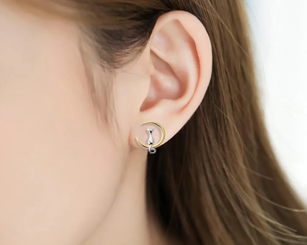 Animal Stud Earrings for Women with Unique Theme Gifts Box