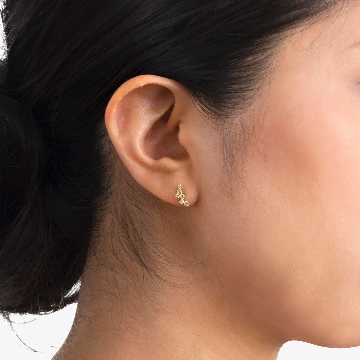 E6003BR | Brown Diamond Hydra Studs