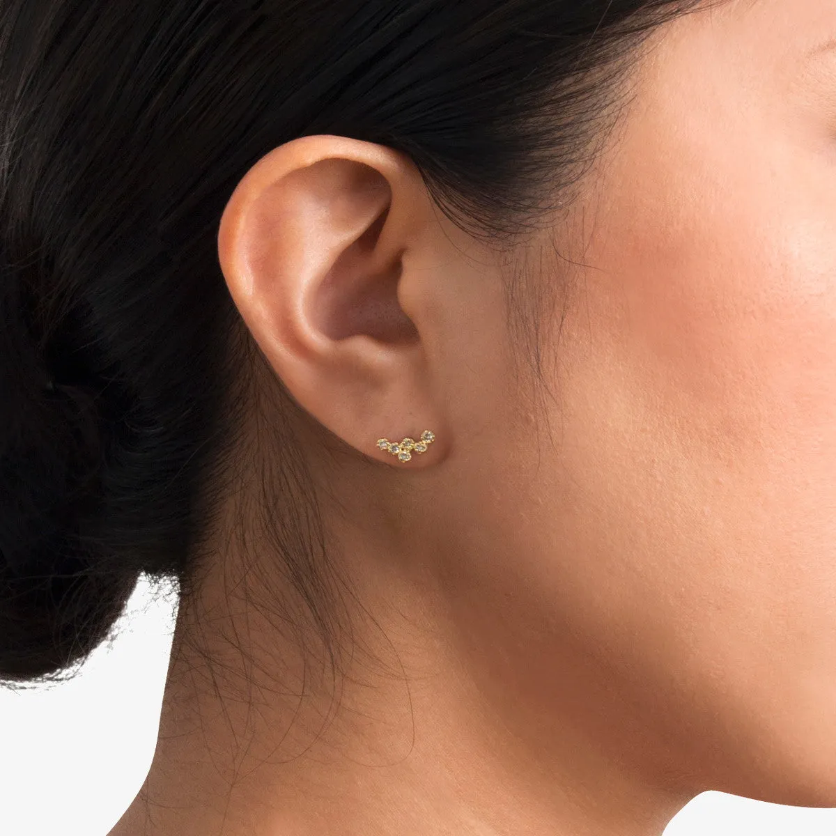 E6003BR | Brown Diamond Hydra Studs