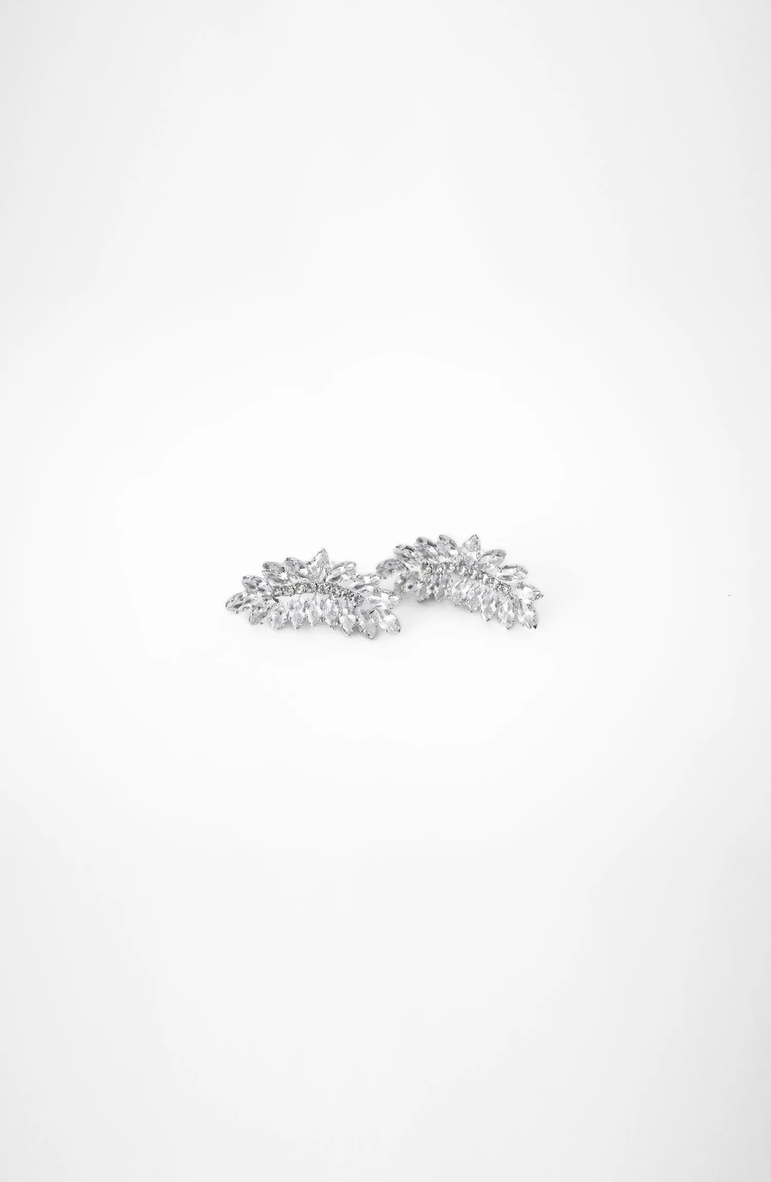 Earring (OTJ-1391 SILVER)